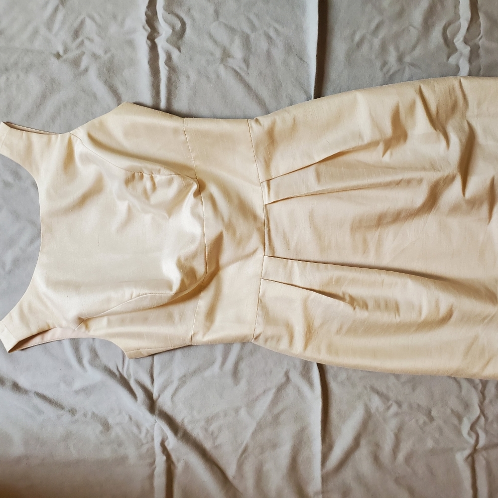 Champagne plunge back dress